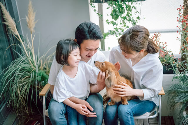 千葉で犬と触れ合えるドッグカフェ8選!犬用メニューやグッズが豊富なお店ものサムネイル画像